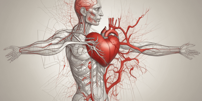 Physiology: Cardiovascular