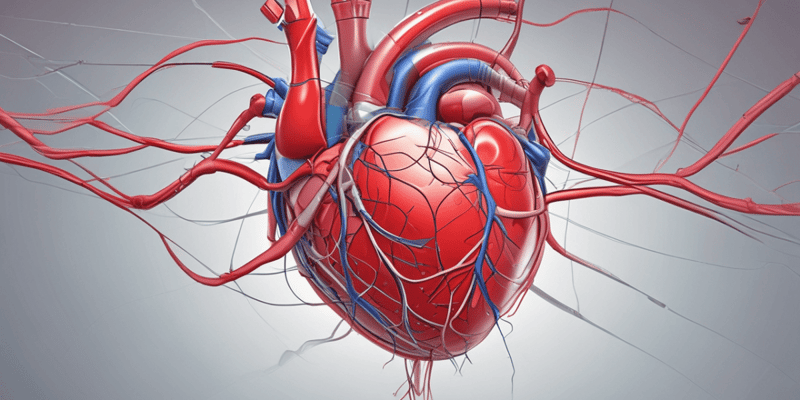 Cardiovascular Physiology Quiz