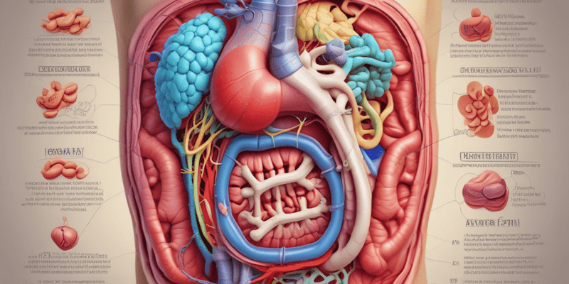Digestive System Structures and Functions Quiz