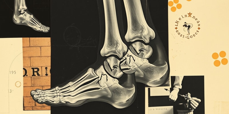 Fracture Classification Review DPM 2026