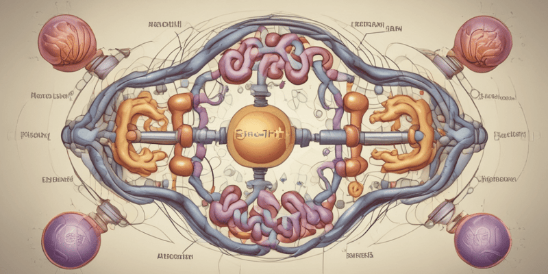 Amino Acid Pool Regulation