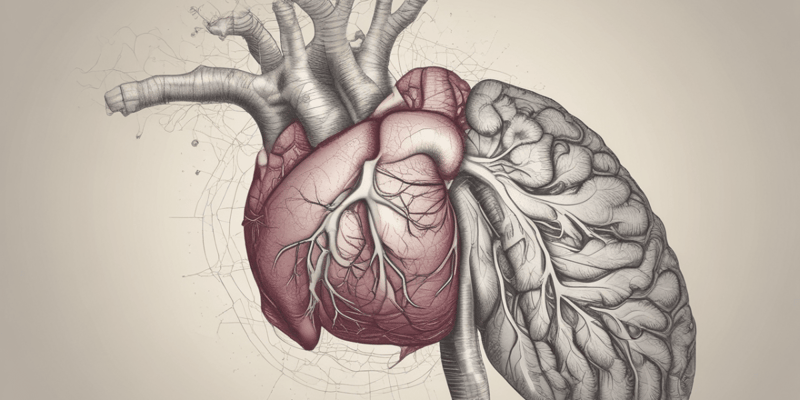 Upper GI Anatomy