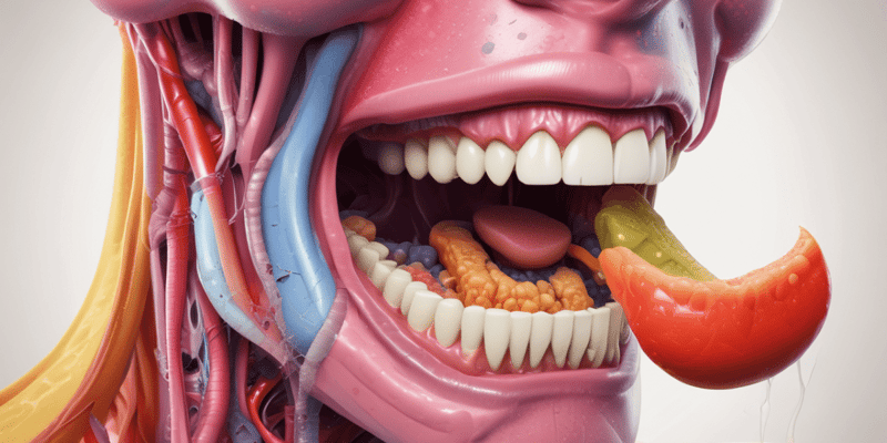 Appetite Control and Oral Cavity Anatomy