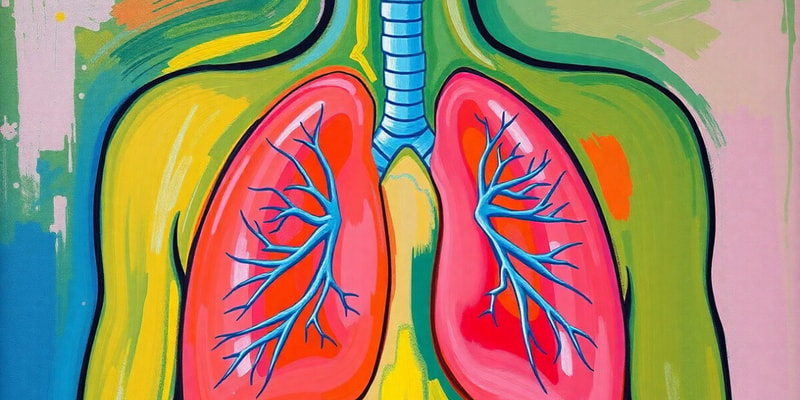 Respiratory System Overview