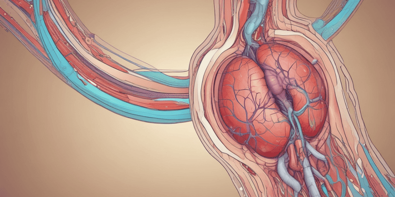 Emergencias Sanitarias: Anatomía y Fisiología del Aparato Urinario