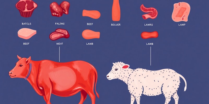 Meat Types and Composition