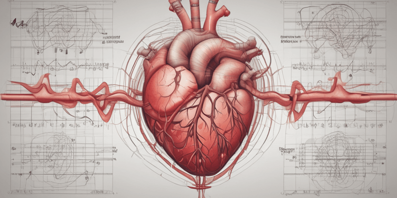 Fasen van de hartcyclus