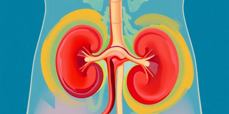 Nephron Function and Urine Composition