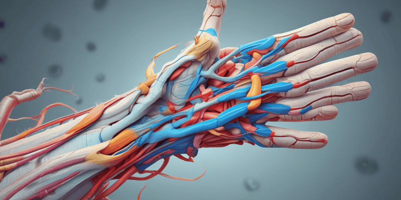Myotome Testing for Upper Limb Nerve Roots