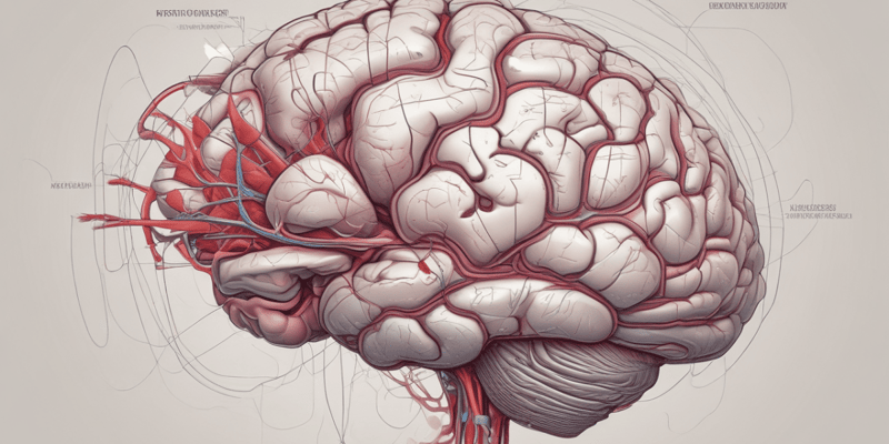 NSU Dr.Kiran C.Patel COM Brain & Nervous System Quiz