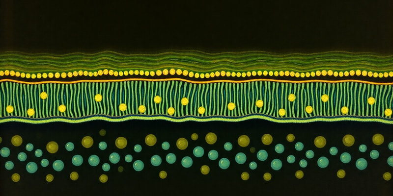 Cell Membrane Structure and Function