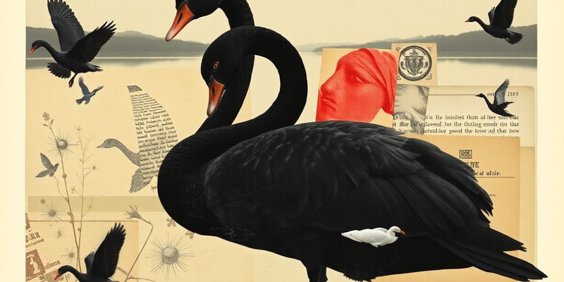 Nassim Taleb - Black Swan I