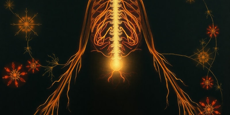 Endocrine System Chapter 13