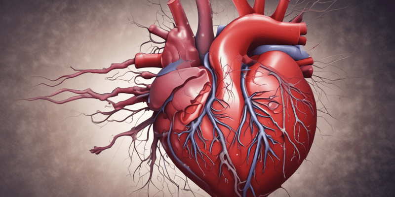 Anatomy. Cardiovascular System.  Quiz 1