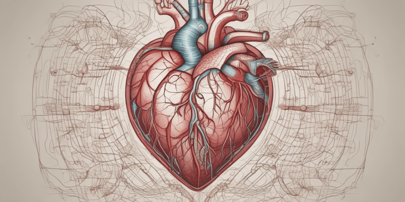 Circulatory System: Heart Structure and Function