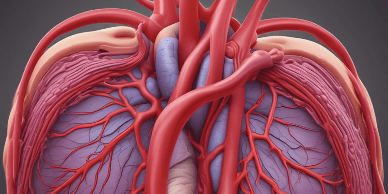 Coronary Arteries Anatomy Quiz