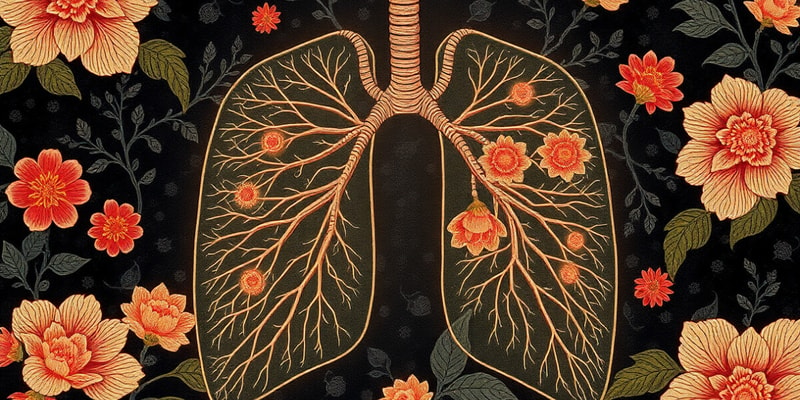 Respiratory System Overview