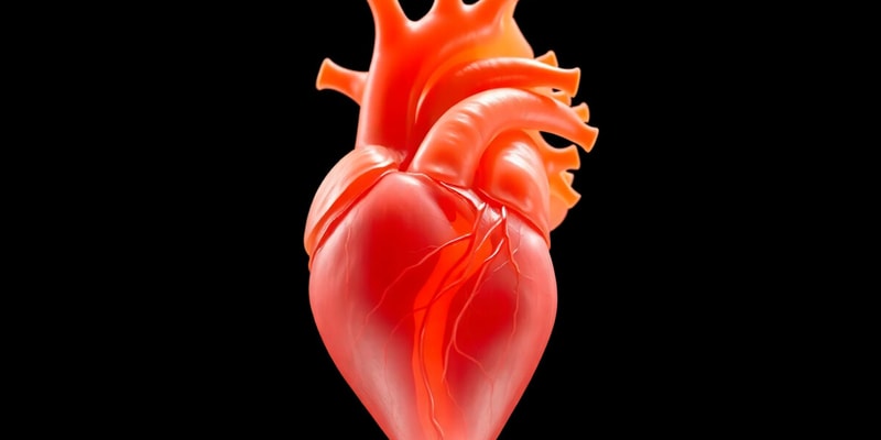 Heart Development and Formation Quiz