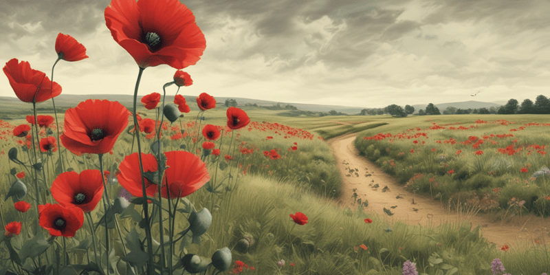 Sylvia Plath's Poppies in July Poem Analysis