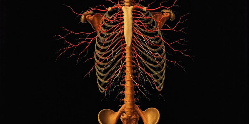 Physiologie du neurone