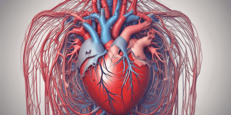 Función Cardiaca y Estructura del Corazón