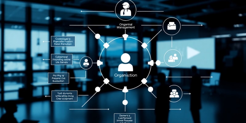 Organizational Management Basics