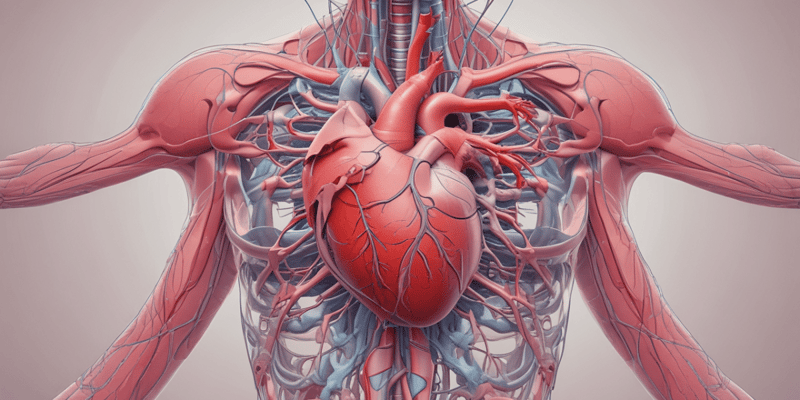 SAQ - Heart's Conduction System and Blood Flow