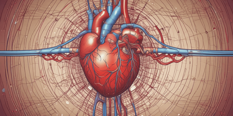 The Heart's Structure and Function