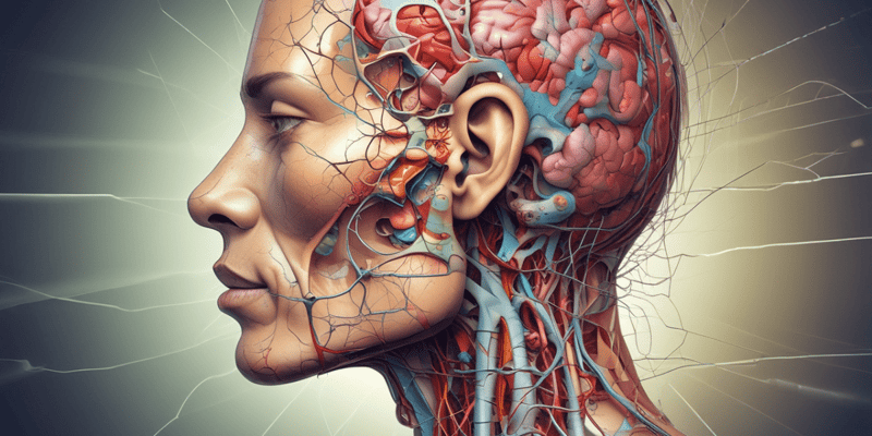 Trigeminal Neuralgia Overview