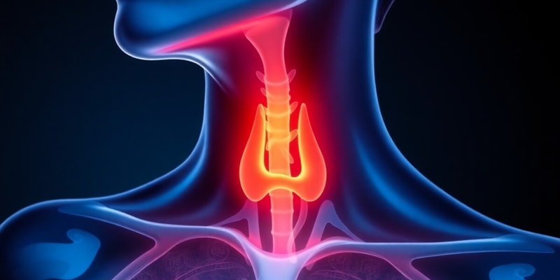 Thyroid Gland and Hormones