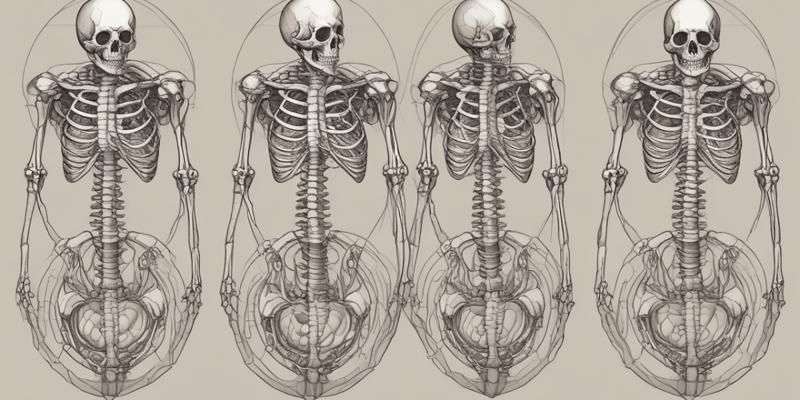 Development of Appendicular Skeleton