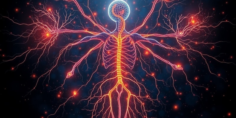 Autonomic Nervous System Quiz: L6