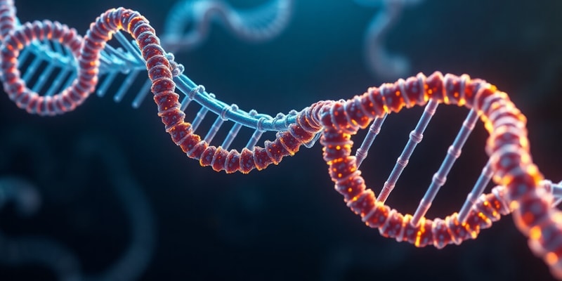 RNA Structure and Function