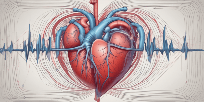 Heart Physiology and Cardiac Output