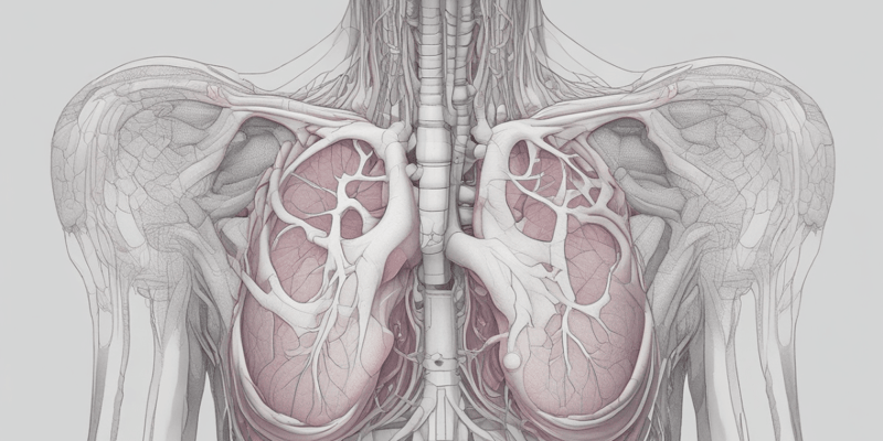 Respiratory Anatomy – Mechanics of Breathing 1.2