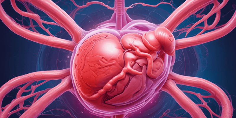 Ectopic Pregnancy and Placenta Previa: Causes, Diagnosis, and Treatment