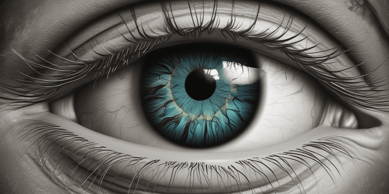 Eye Development Lecture: Retina, CNS, and PNS Origins
