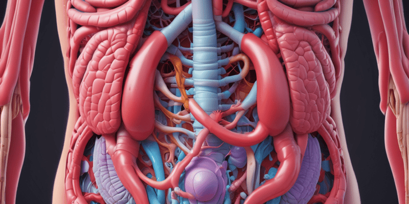 Digestive System Chapter 23: Overview Quiz