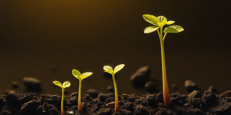 Seed Germination and Seedling Development