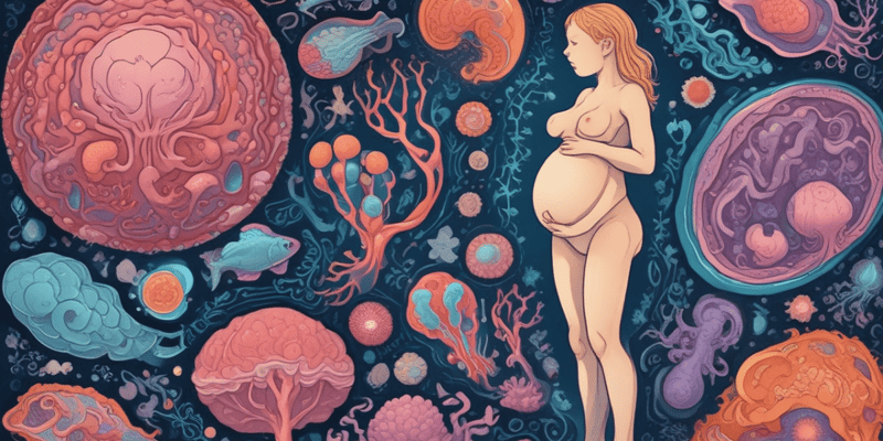 Lesiones Prenatales Secundarias a Causas Infecciosas