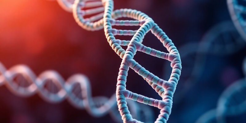 Prokaryotic DNA-Binding Proteins and HTH Motif