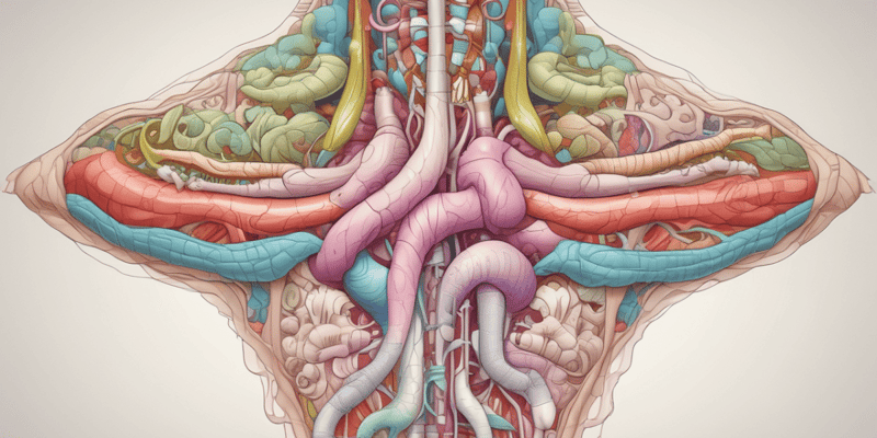 Digestive Tract: Introduction