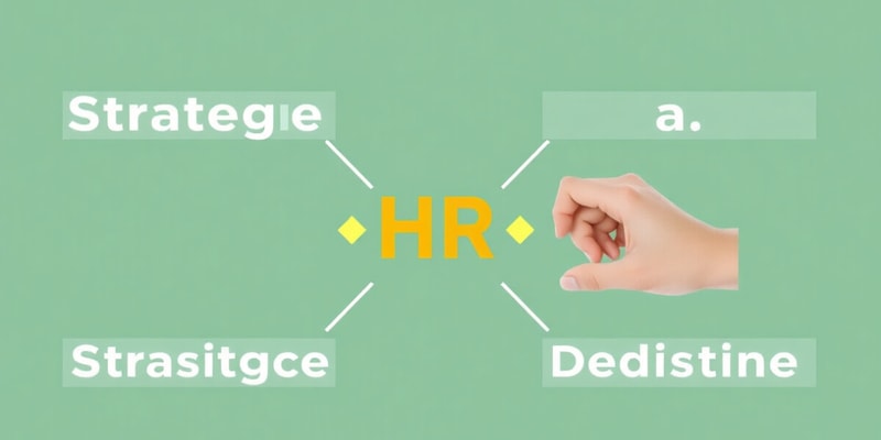 HR Roles & Responsibilities Overview