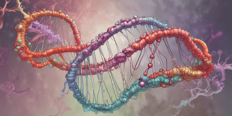 Types of Mutations in Genetics