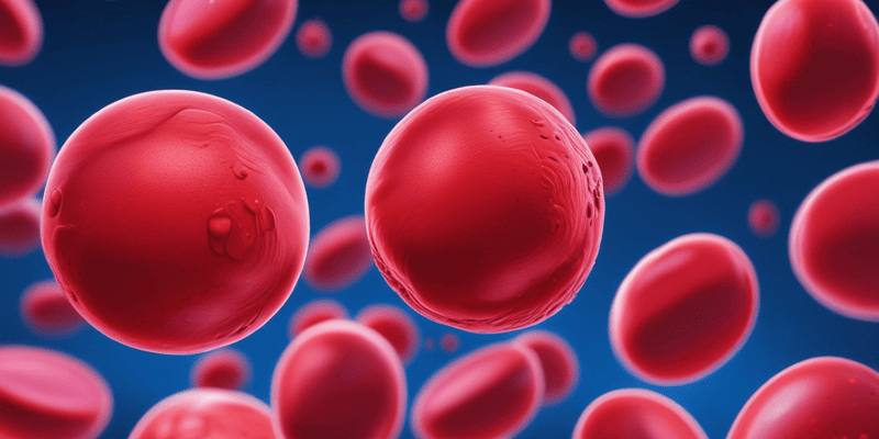 Red Blood Cells (RBCs) Functions and Production