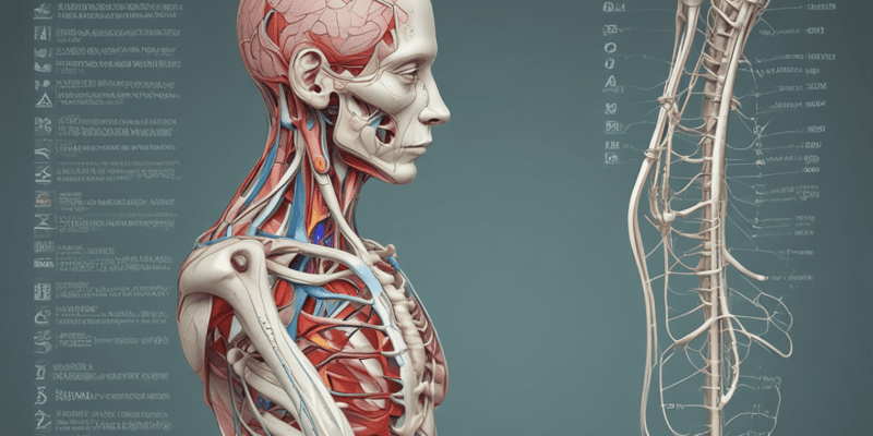 Anatomy LE 1: Upper Limb: Nerve Supply