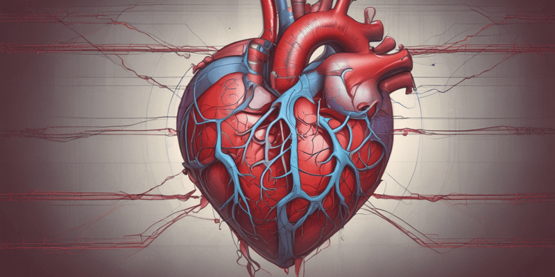 Cardiovascular System 3.3 – Heart