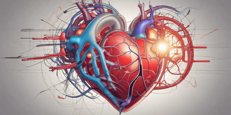 Cardiac Physiology Basics