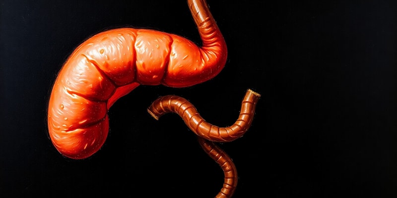 Human Biology: The Pancreas and Diabetes