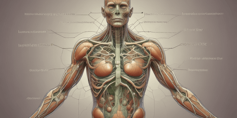 Lymphatic System's Role in Nutrient Absorption
